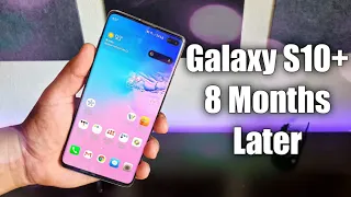 Samsung Galaxy S10 Plus 8 Months Later...