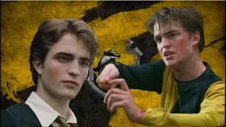 Why Was Cedric Diggory Sorted Into Hufflepuff?