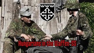 26. Waffen-Grenadier-Division der SS (ungarische Nr. 2)  - episode 26, all waffen-SS divisions.