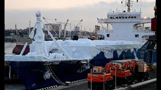 Ice Ro-ro SUN RIO arrived at Vladivostok port in Japan sea, live. VIDEO Global Warming