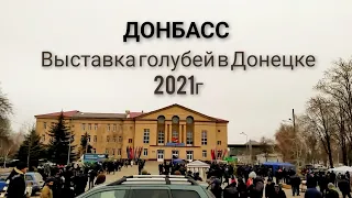 Выставка голубей в Донецке 21февраля 2021года.Exhibition of pigeons in Donetsk.