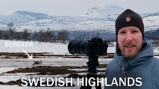 SPRING in the HIGHLANDS | Landscape Photography | Wildlife | Härjedalen