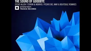 Armin van Buuren pres. Perpetuous Dreamer-The Sound Of Goodbye Ferrin & Morris(Remix Amsterdam )