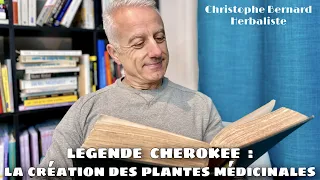 Histoire des plantes 8 : Légende cherokee sur les plantes médicinales, sagesse des peuples premiers