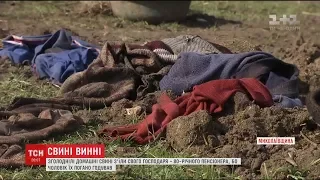 Зголоднілі домашні свині з'їли свого 80-річного господаря на Миколаївщині