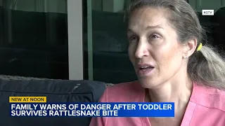 Little boy survives being bit by rattlesnake