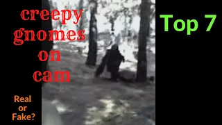 Real gnomes caught on tape! / Top 7