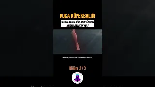 Koca Köpekbalığı | Bölüm 2 #film #dizi #shorts