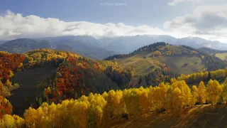 #SateleMunților: Toamna pe culoarul Rucăr-Bran (Filmare aeriană 4K)