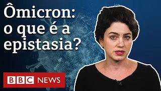 Covid: por que epistasia é chave para entender gravidade de ômicron