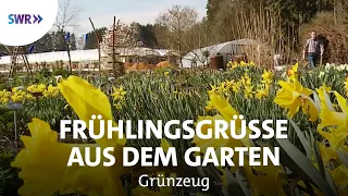 Frühling in der Bio-Gärtnerei | SWR Grünzeug