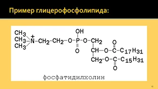 Лекция 9 СТРОЕНИЕ И ФУНКЦИИ БИОЛОГИЧЕСКИХ МЕМБРАН