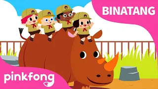 Peek-a-Zoo | Lagu Hewan | Lagu Anak Bahasa Indonesia | Pinkfong dan Baby Shark