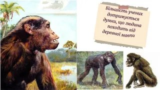 «Виникнення людини» 6 клас