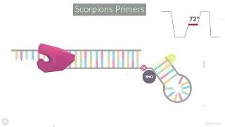 Why use Scorpions Primers?