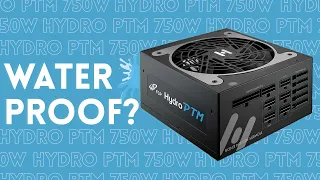 Would you trust this PSU with your PC? ⚡FSP Hydro PTM Pro 750W 80+ Platinum Review | Hardware Sugar