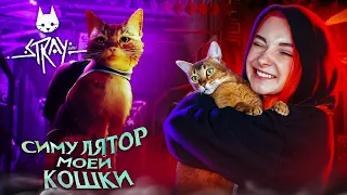 САМЫЙ СУРОВЫЙ СИМУЛЯТОР КОТА ► STRAY #1