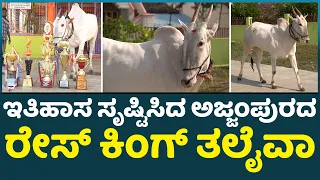 Thalaivaa : ಇತಿಹಾಸ ಸೃಷ್ಟಿಸಿದ ಅಜ್ಜಂಪುರದ ತಲೈವಾ I Krushi Suddi |Ajjampura Thalaiva