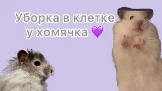 Уборка у хомяка 💜￼