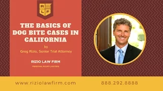 The Basics of Dog Bite Cases in California