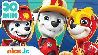 Patrulha Canina | 30 MINUTOS dos melhores momentos do Marshall! | Nick Jr. em Português