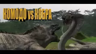 Комодо vs Кобра | Битва гигантов | Komodo VS Snake | MEGA SNAKE