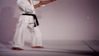 Taekwon-Do The Art Of High Impact Kicking (ITF 9dan)