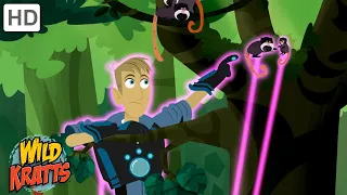 Martin and the Emperor Tamarins Have Been Captured! | Wild Kratts