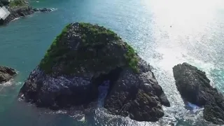 Isla Gorgona - Video promocional