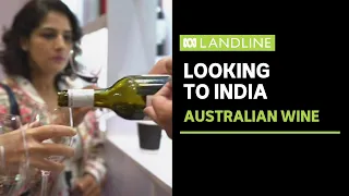 Australian wine producers eye India as promising market emerges | ABC News