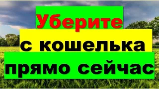 Уберите с кошелька прямо сейчас. Это все приводит к утечке денег