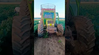 🇮🇹 FIAT Agrifull 70 in campo | Trattore Fiat Agrifull in campo. #shorts #youtubeshorts #short