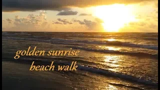 ASMR Sunrise Beach Walk, Padre Island, TX 2019 | Wave Sounds - No Talking