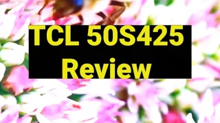 TCL 50S425 50 inch 4K Smart LED Roku TV Review 2020