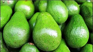 Как сделать авокадо спелыми. Как ускорить созревание авокадо в домашних условиях.