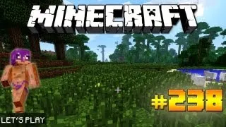 Minecraft - Let's Play - 238: Mal eben einen Zossen holen! [DEUTSCH] [1080p]