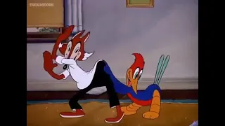 Woody Woodpecker goes to the psychiatrist