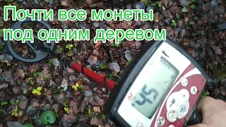 РАССЫПУХА МОНЕТ В ЛЕСУ, КОГДА Я ВЗЯЛ КОЛИЧЕСТВОМ. Много монет, рассыпаны в одном месте. Коп в лесу