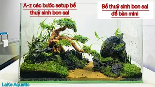 #3 Các bước setup bể thuỷ sinh bon sai mini để bàn | THUY SINH LaKe Aquatic