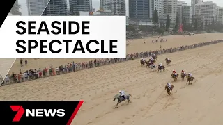 Magic Millions horse race attracted thousands to the Gold Coast - celebrities too | 7 News Australia