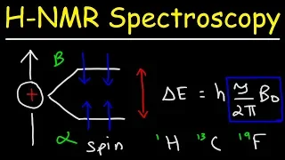 Basic Introduction to NMR Spectroscopy