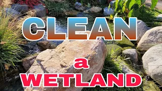 🐢 Pro Tip | How to CLEAN a Recreational Swim Pond WETLAND FILTER - Fast and Easy 👍