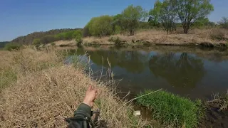 Охота с рогаткой перед нерестом