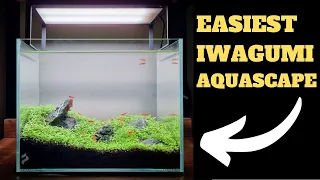 EASY IWAGUMI NANO TANK AQUARIUM SETUP - DRY START METHOD