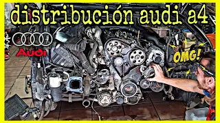 Guía Completa: Cambio De Distribución Audi A4 1.9 TDI Paso A Paso | Vegacar engine