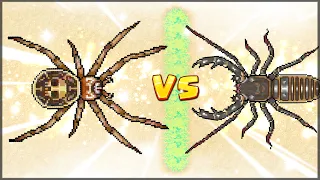 SKULL SPIDER MAX LEVEL! SPIDER TEST AGAINST OTHER CREATURES - Pocket Ants: Colony Simulator