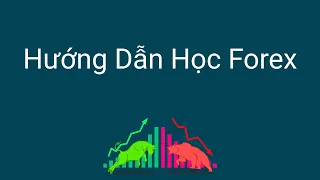 Đầu tư forex | Học forex nên bắt đầu từ đâu - Hướng dẫn học forex cho người mới bắt đầu