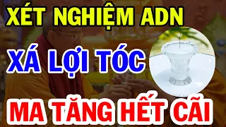 Trụ Trì Chùa Ba Vàng Chính Thức Lên Tiếng Việc Mang 'Xá Lợi Tóc Đức Phật' Đi Xét Nghiệm ADN