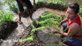 Survival skills: Build a unique fish trap by hand on the river