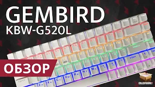 ОБЗОР GEMBIRD KBW-G520L | БЕСПРОВОДНАЯ ИГРОВАЯ КЛАВИАТУРА С ПОДСВЕТКОЙ